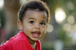 theo