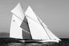 voiles-st-tropez-2