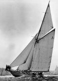 voiles-st-tropez-9