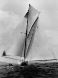 voiles-st-tropez-14